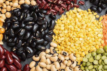 Pulses Pulses